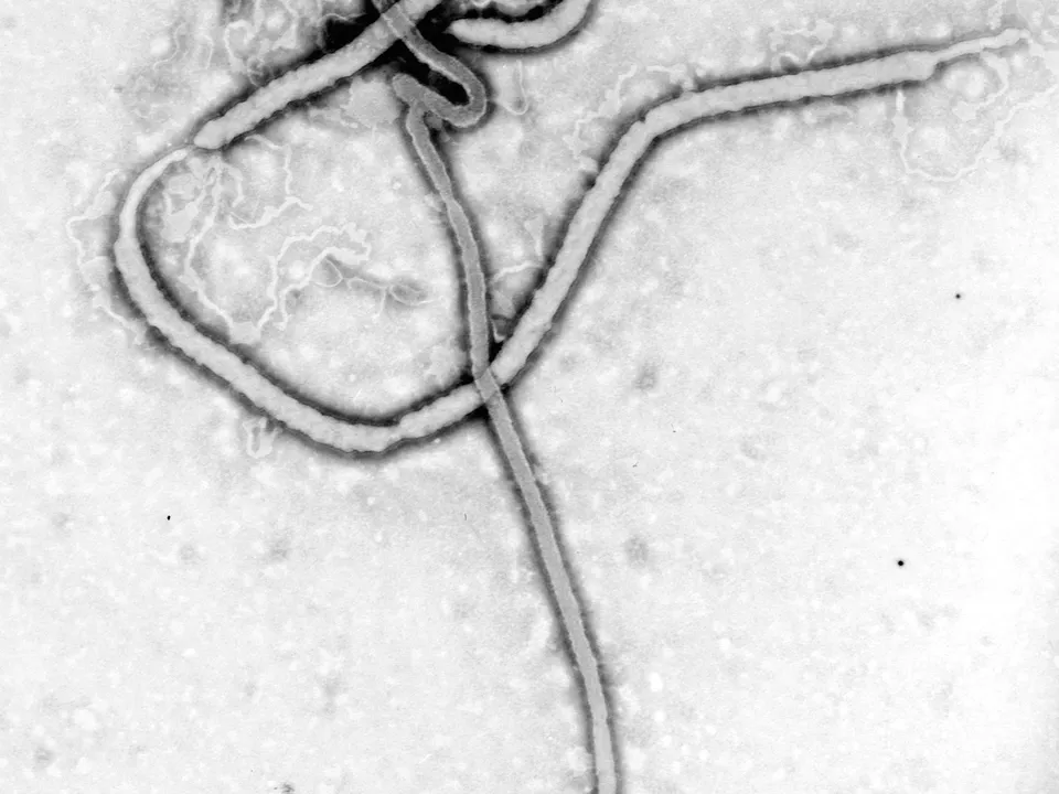 El ébola en Congo supera los 10.000 casos confirmados y casi la mitad de los pacientes ha muerto