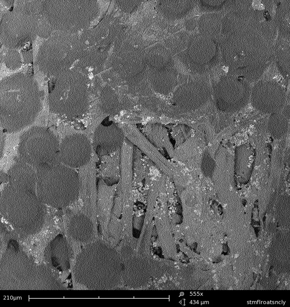 Vista al microscopio electrónico del lado adhesivo de un Post-it a 555 aumentos, donde se ven las microesferas del pegamento.